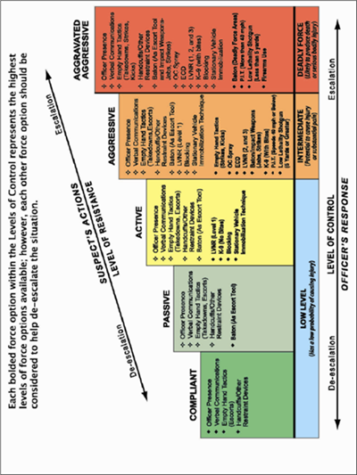 Figure 7 – Las Vegas Metropolitan Police Department model